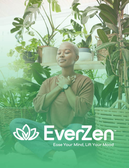 Everzen Brochure