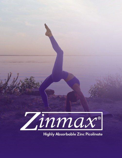 Zinmax Brochure